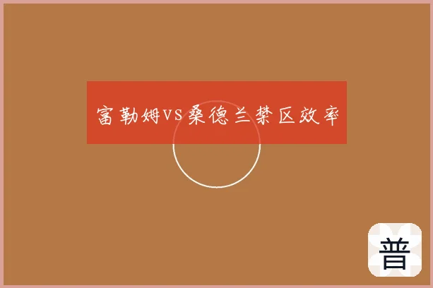 富勒姆vs桑德兰禁区效率